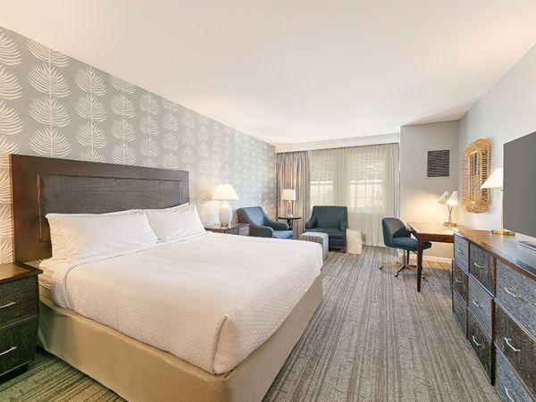 A hotel room with a large bed, two chairs, a desk, TV, and patterned wallpaper. It has a bright and clean atmosphere.