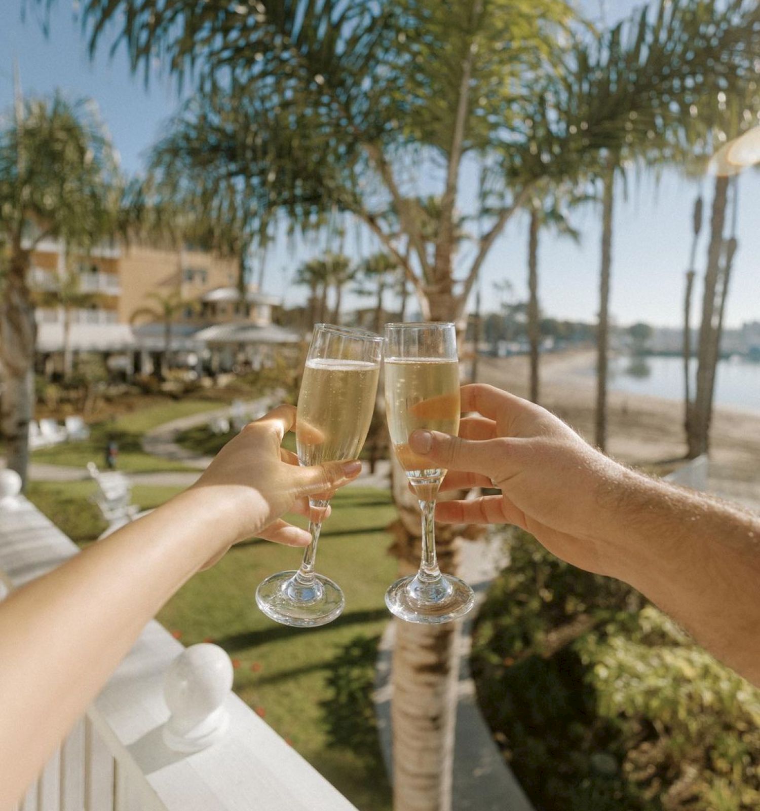 Two people clink champagne glasses on a sunny balcony overlooking palm trees and a water view.