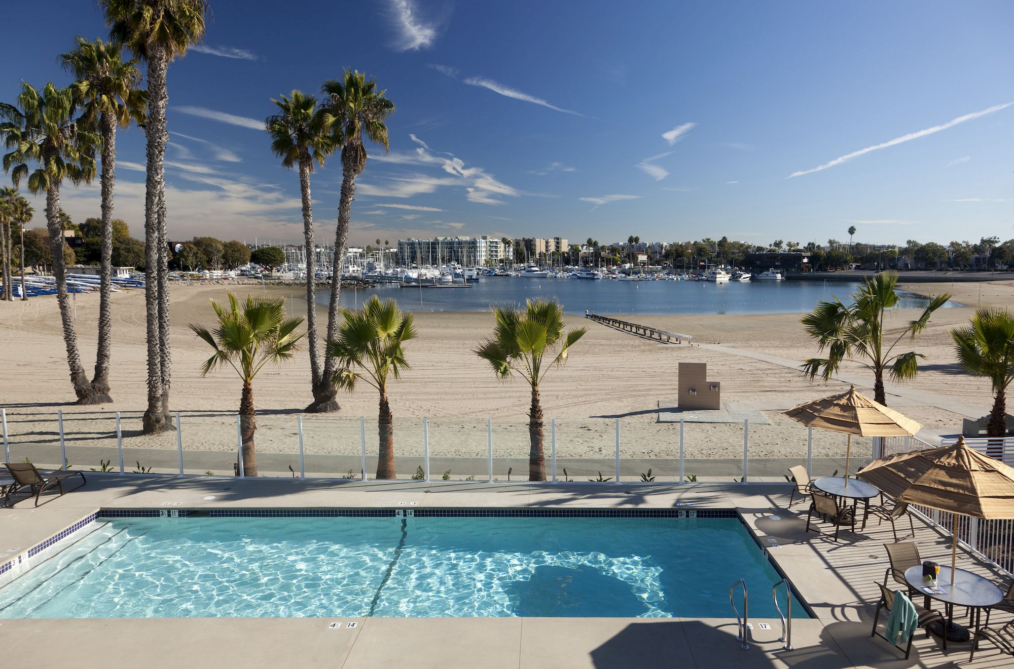 A sunny beach scene with a pool in the foreground, palm trees lining the shore, and calm water with boats in the distance.