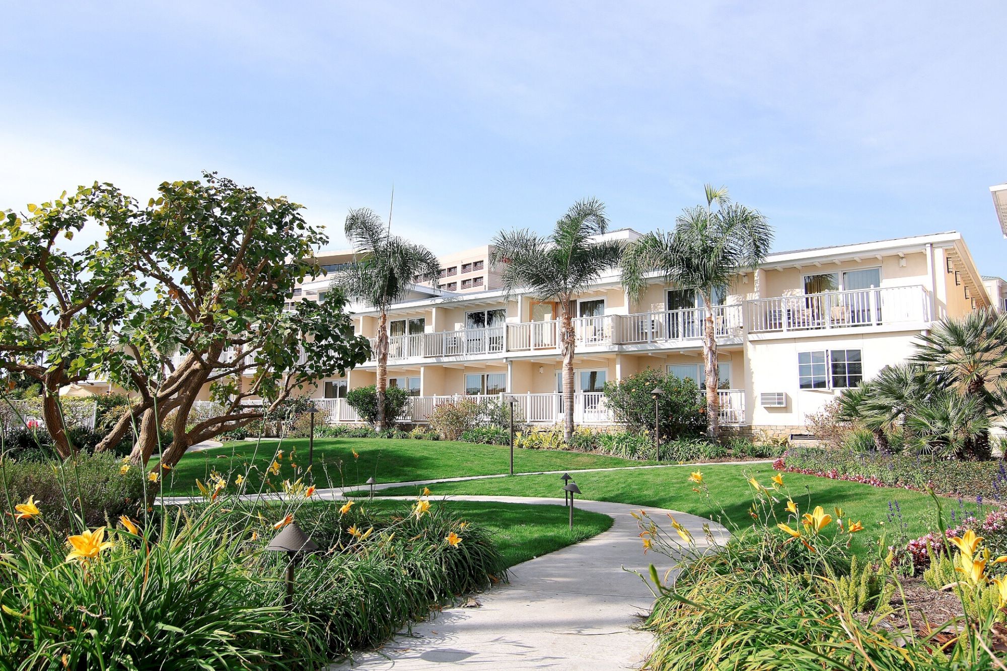 A sunny courtyard of a low-rise apartment complex with yellow flowers, green lawn, palm trees, and a curved walkway leading to balconies.