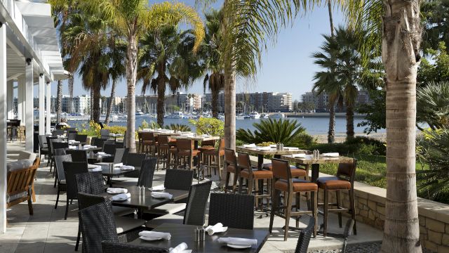 A seaside restaurant patio with black tables and chairs, palm trees, and a water view under a sunny sky, outdoor dining setup.