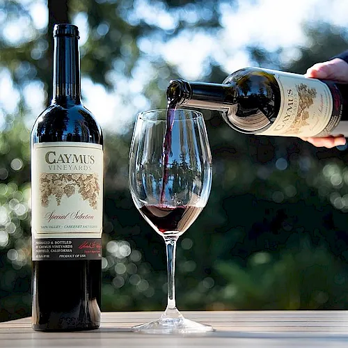 A person pours red wine from a bottle into a glass on a sunny outdoor table, with blurred greenery in the background.