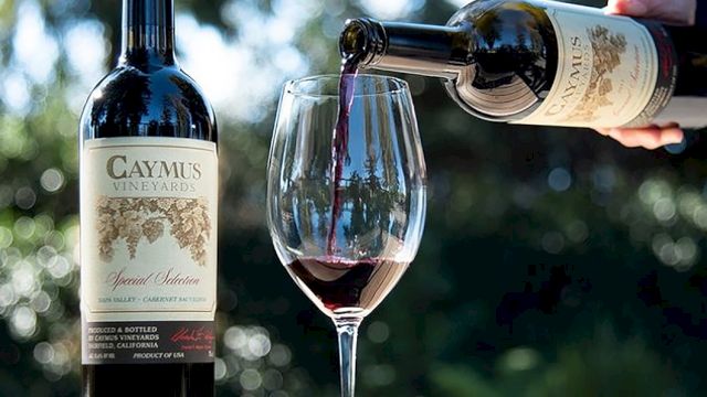A person pours red wine from a bottle into a glass on a sunny outdoor table, with blurred greenery in the background.