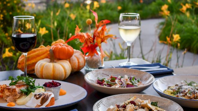 Outdoor fall dinner table set with plates of salad and food, pumpkins and wine glasses, with palm trees in the background.